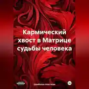 Постер книги Кармический хвост в Матрице судьбы человека
