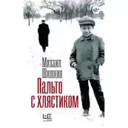 Постер книги Пальто с хлястиком. Короткая проза, эссе