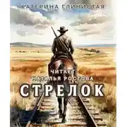 Постер книги Стрелок