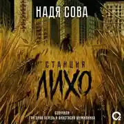 Постер книги Станция Лихо