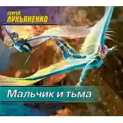 Постер книги Мальчик и Тьма