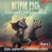 Постер книги Царь, царевич, король, королевич…
