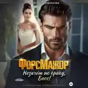 Постер книги ФорсМажор. Незачёт по браку, Босс!