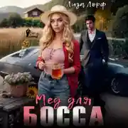 Постер книги Мёд для босса