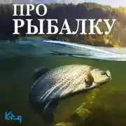 Постер книги Про рыбалку