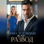 Постер книги Брак с условиями или … Развод!
