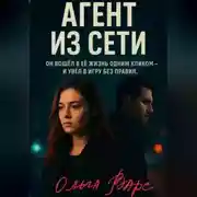 Постер книги Агент из сети