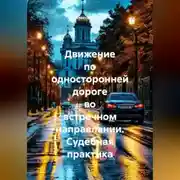 Постер книги Движение по односторонней дороге во встречном направлении. Судебная практика