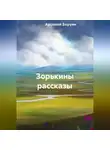 Арсений Боруян - Зорькины рассказы