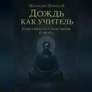 Постер книги Дождь как учитель: Практики на стыке воды и небес