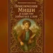 Постер книги Приключения Миши в царстве забытых слов