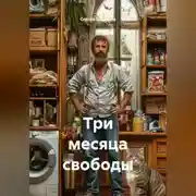 Постер книги «Три месяца свободы»