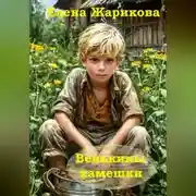 Постер книги Венькины камешки