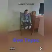 Постер книги Фея Терис