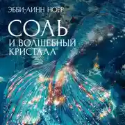 Постер книги Соль и волшебный кристалл