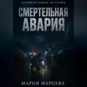 Постер книги Криминальные истории. Смертельная авария