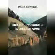 Постер книги Камни-проводники по местам Силы