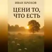 Постер книги Цени то, что есть