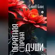 Постер книги Обратная сторона души. Версия до расширения.