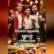 Постер книги Новогодний квест «Миссия выполнима»