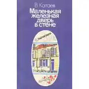 Постер книги Маленькая железная дверь в стене