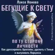 Постер книги Бегущие к свету. По ту сторону личности. Как дрессировать Архетипы, дружить с Тенью и выгуливать Нарцисса