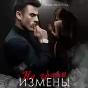 Постер книги На грани измены