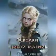 Постер книги Осколки дикой магии. Овладевая