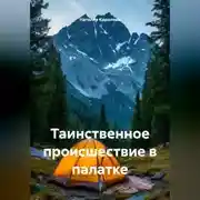 Постер книги Таинственное происшествие в палатке