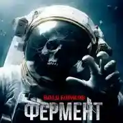 Постер книги Фермент