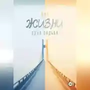 Постер книги Две жизни – одна судьба