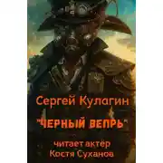 Постер книги Чёрный вепрь