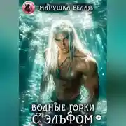 Постер книги Водные горки с эльфом