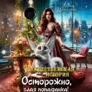 Постер книги Рождественская история. Осторожно, злая попаданка!