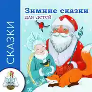 Постер книги Зимние сказки