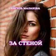 Постер книги За стеной