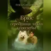 Постер книги Брюс и серебряная ложка королевы