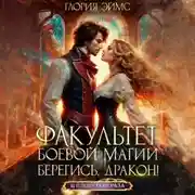 Постер книги Факультет боевой магии. Берегись, дракон!