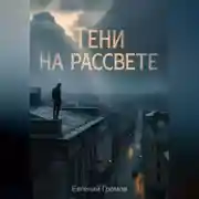 Постер книги Тени на рассвете