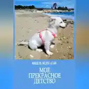 Постер книги Мое прекрасное детство