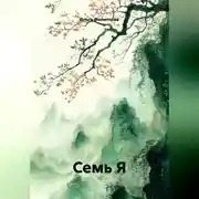 Постер книги СЕМЬ Я