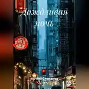 Постер книги Дождливая ночь