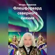 Постер книги Флешфорвард северного сияния