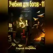 Постер книги Учебник для богов – 11