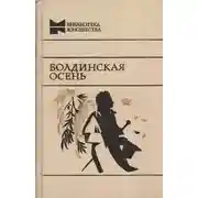Постер книги Болдинская бессонница