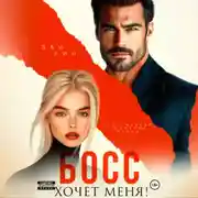 Постер книги Босс хочет меня!