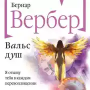 Постер книги Вальс душ