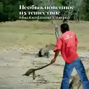 Постер книги Необыкновенное путешествие обыкновенных людей