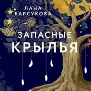 Постер книги Запасные крылья