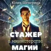 Постер книги Стажер в Министерстве Магии